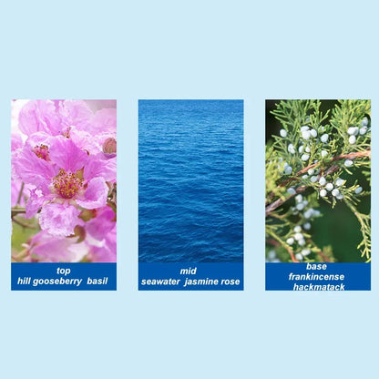First Love Cologne Perfume Blue Lover Ocean Scent Parfum Spray Luxury Blue Mediterranean Sandalwood Long-lasting Eau De Toilette